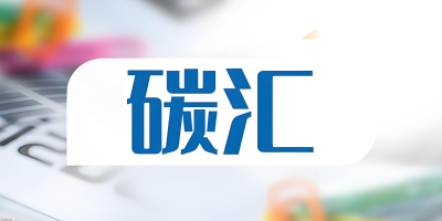 什么是碳匯？